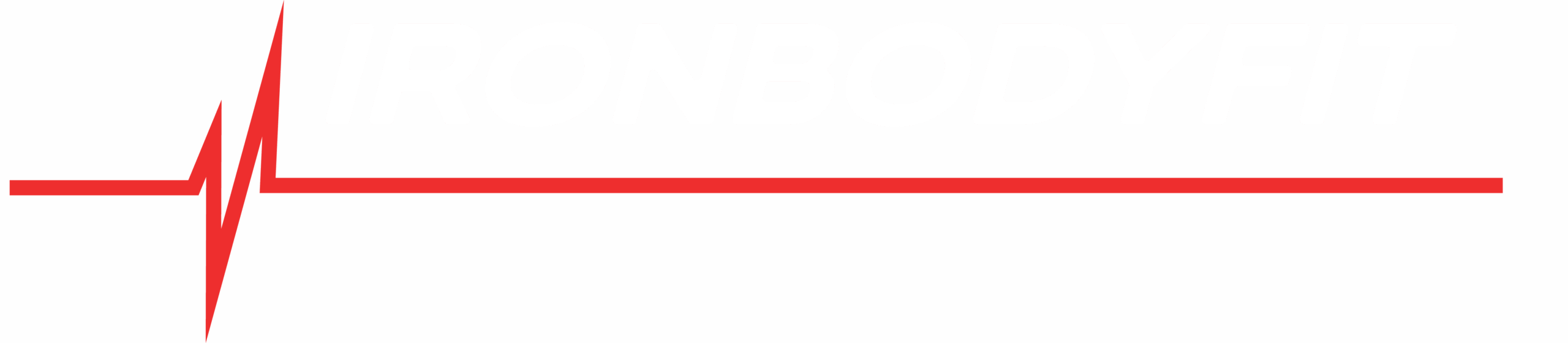 Logo Iron Body Fit
